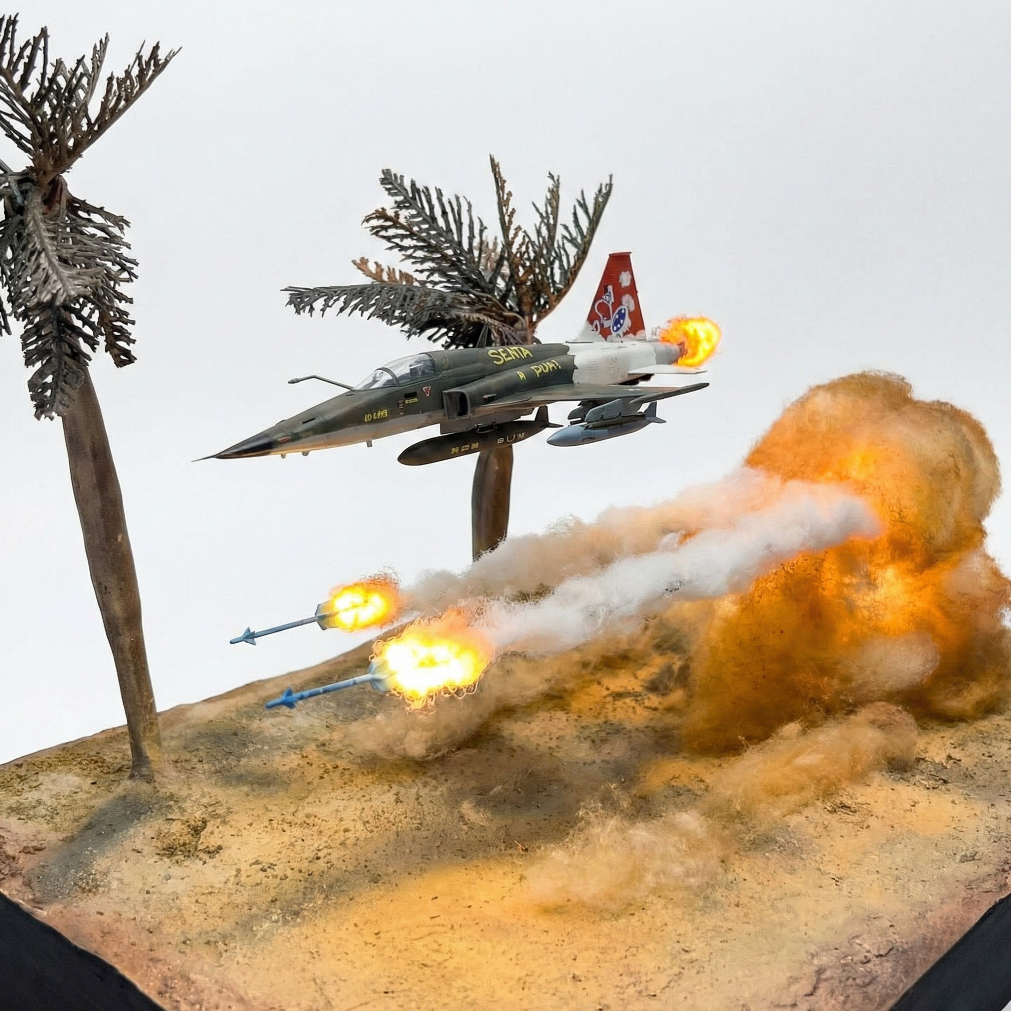 F-5 Tiger II: Coastal Strafing Run